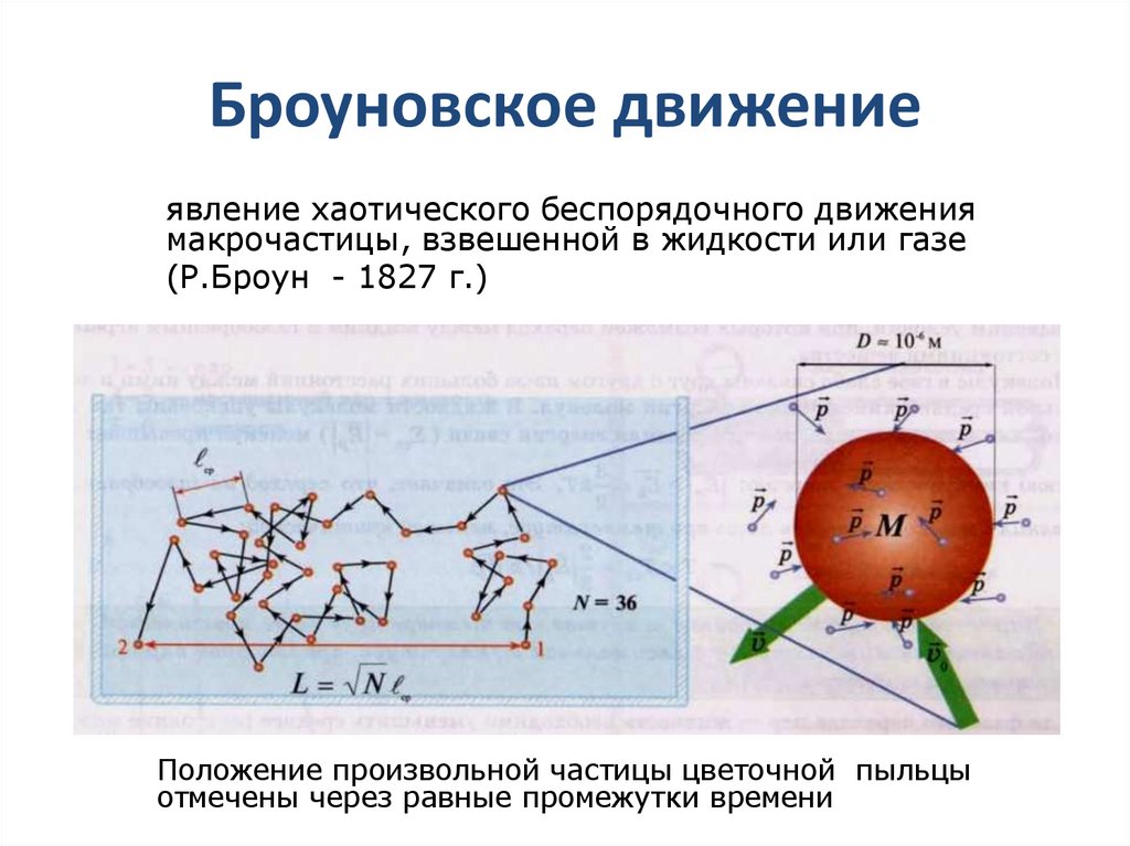 Броуновское движение
