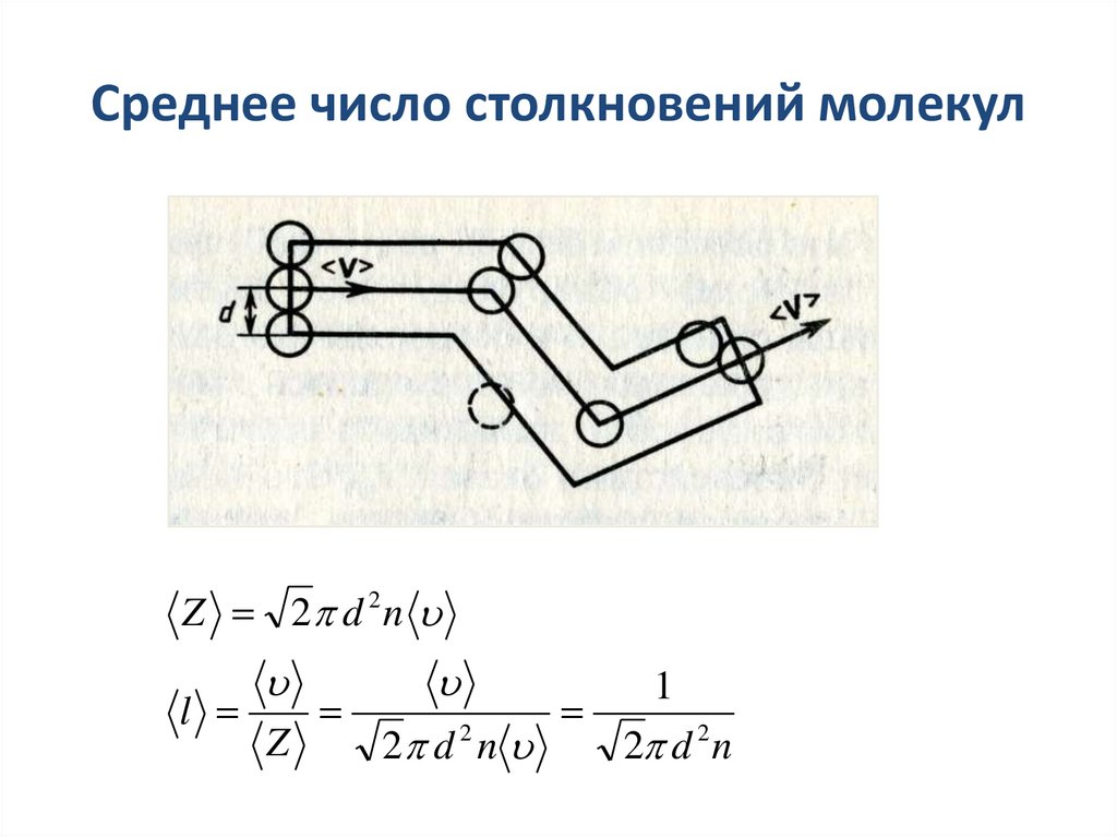 Среднее число столкновений молекул
