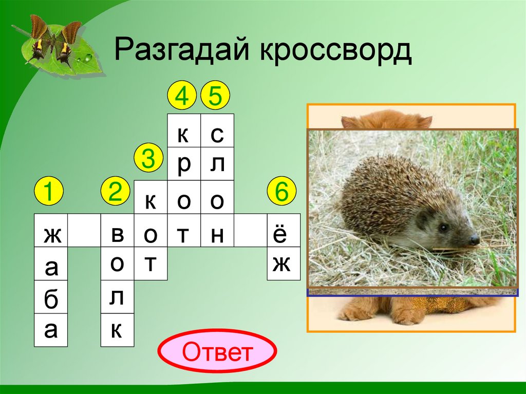 Разгадай кроссворд