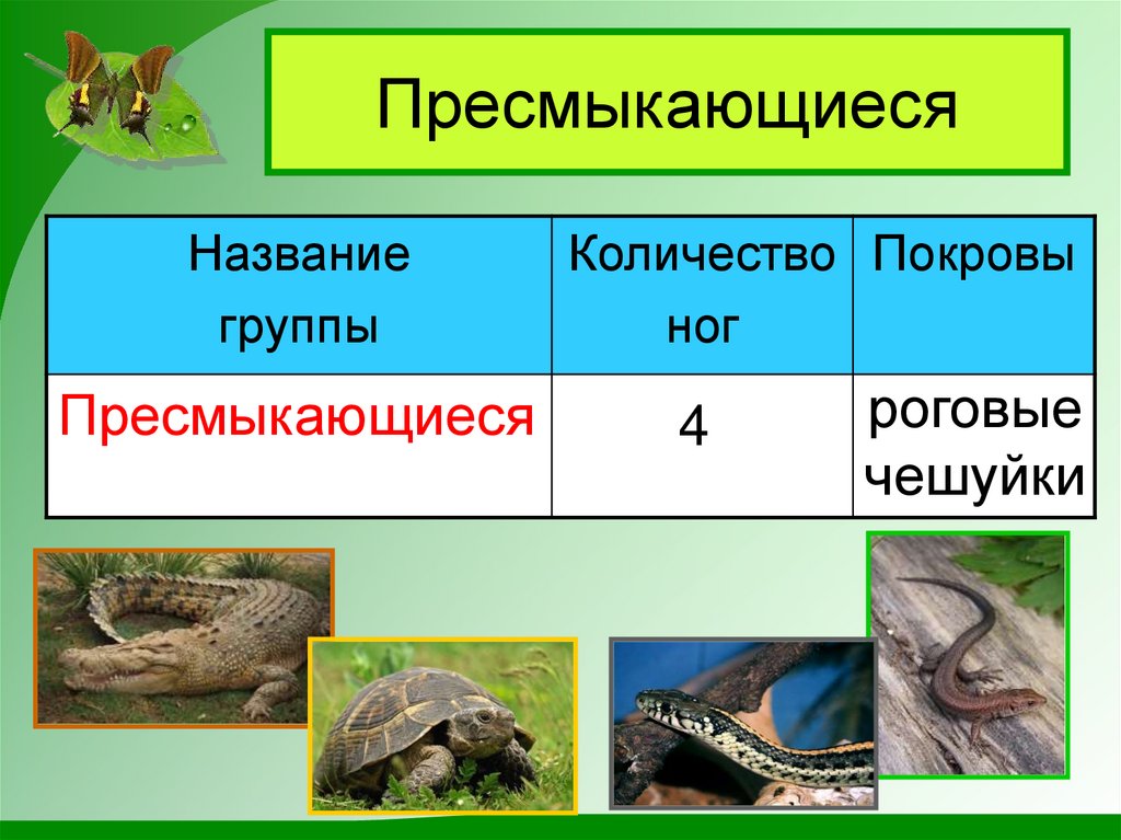 Пресмыкающиеся