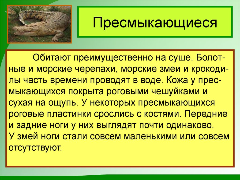 Пресмыкающиеся