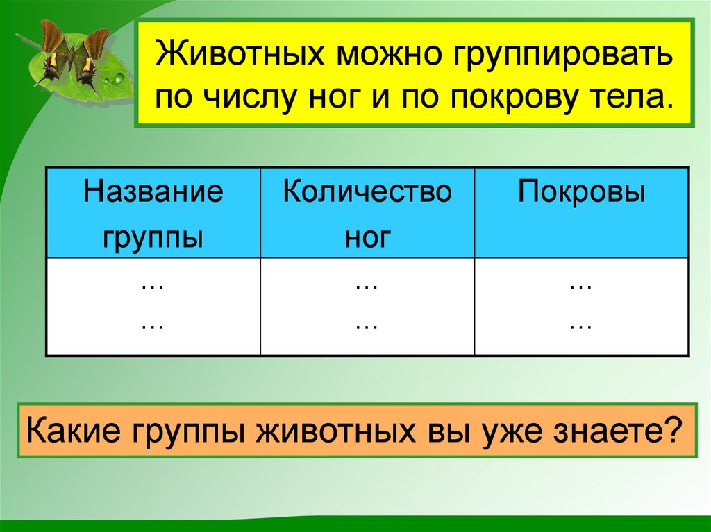 Животных можно группировать по числу ног и по покрову тела.