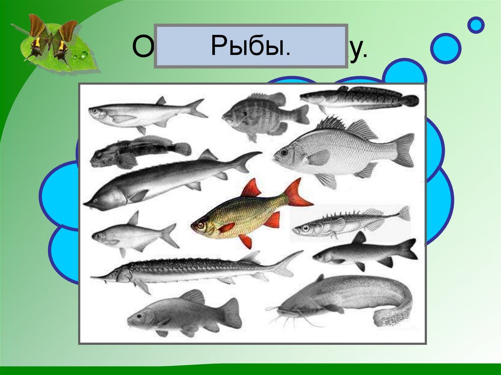 Отгадай загадку.