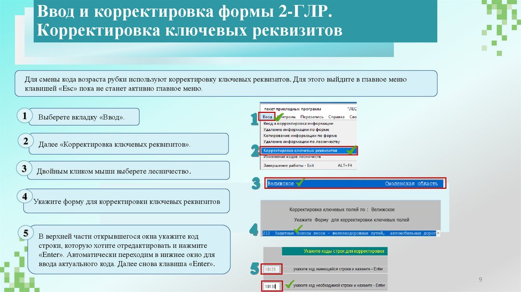 Ввод и корректировка формы 2-ГЛР. Корректировка ключевых реквизитов