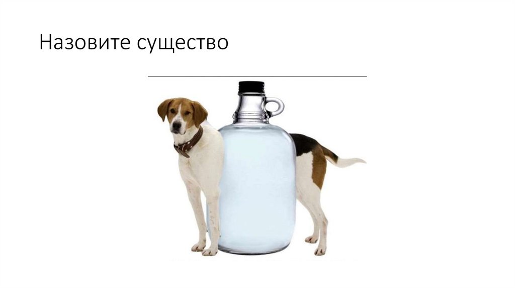 Назовите существо
