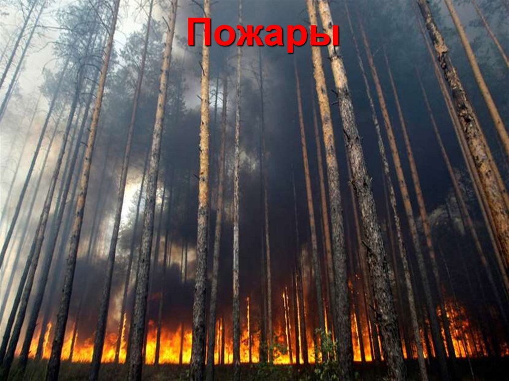 Пожары