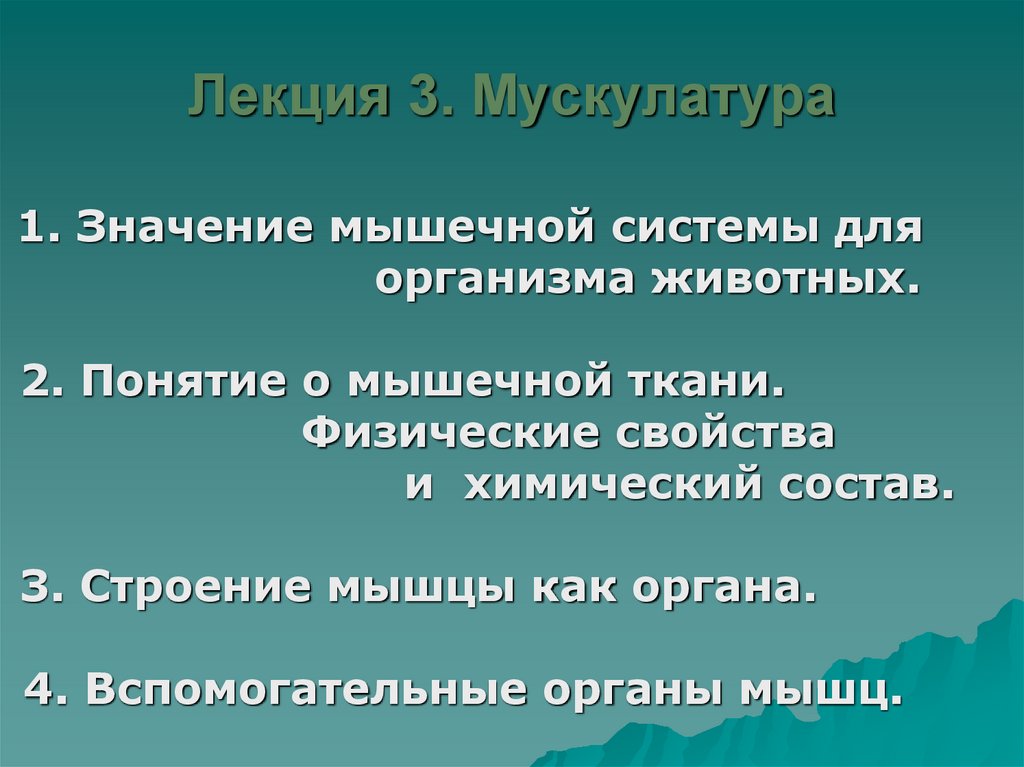 Лекция 3. Мускулатура