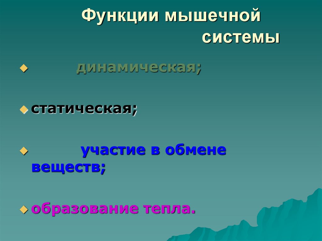 Функции мышечной системы