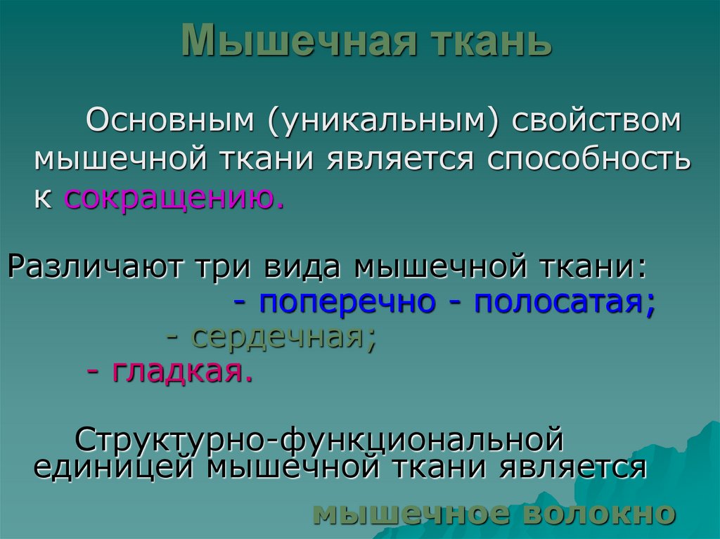 Мышечная ткань