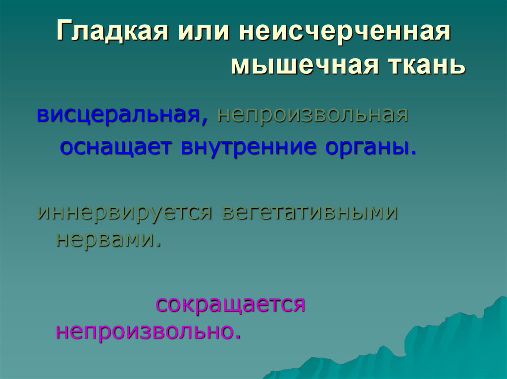 Гладкая или неисчерченная мышечная ткань