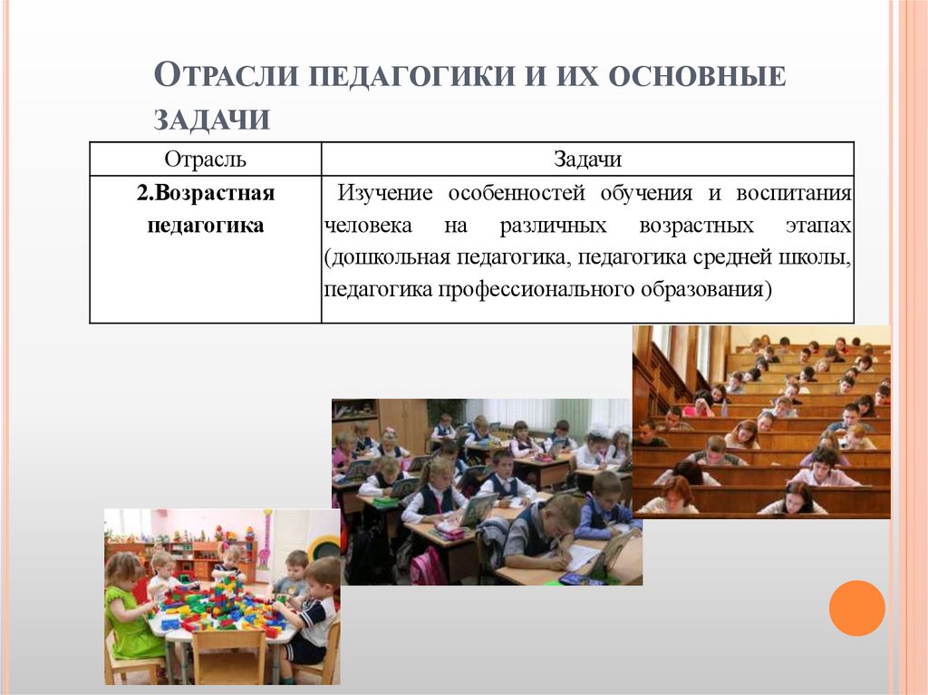 Отрасли педагогики и их основные задачи