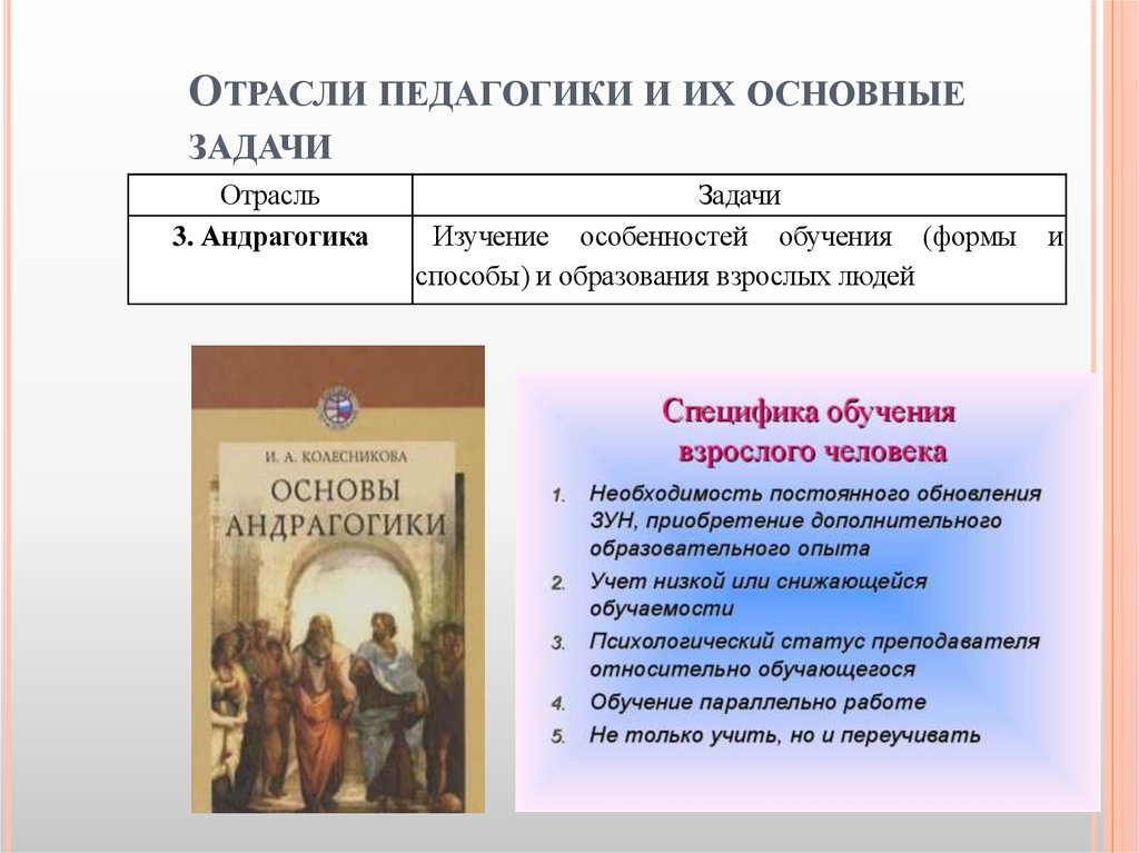 Отрасли педагогики и их основные задачи