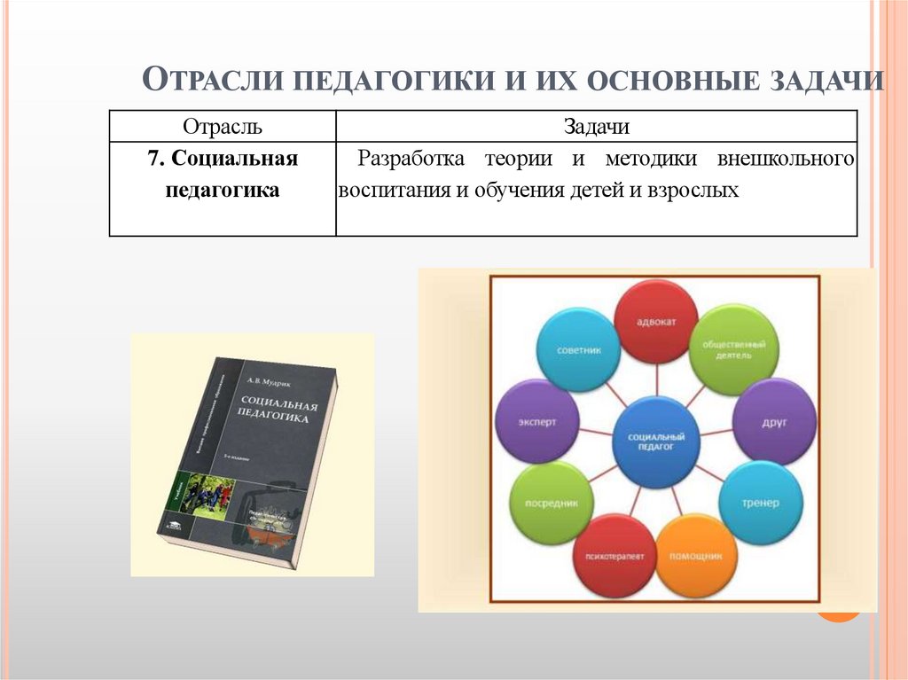 Отрасли педагогики и их основные задачи