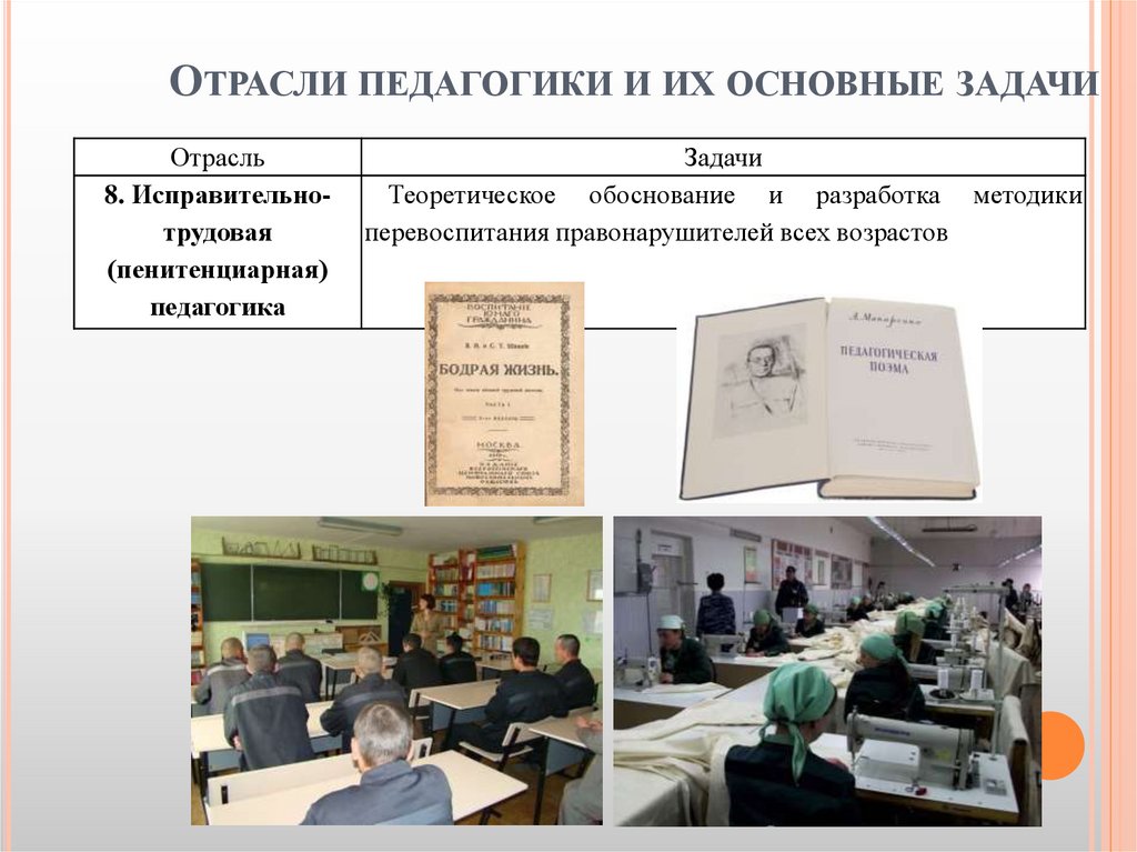 Отрасли педагогики и их основные задачи