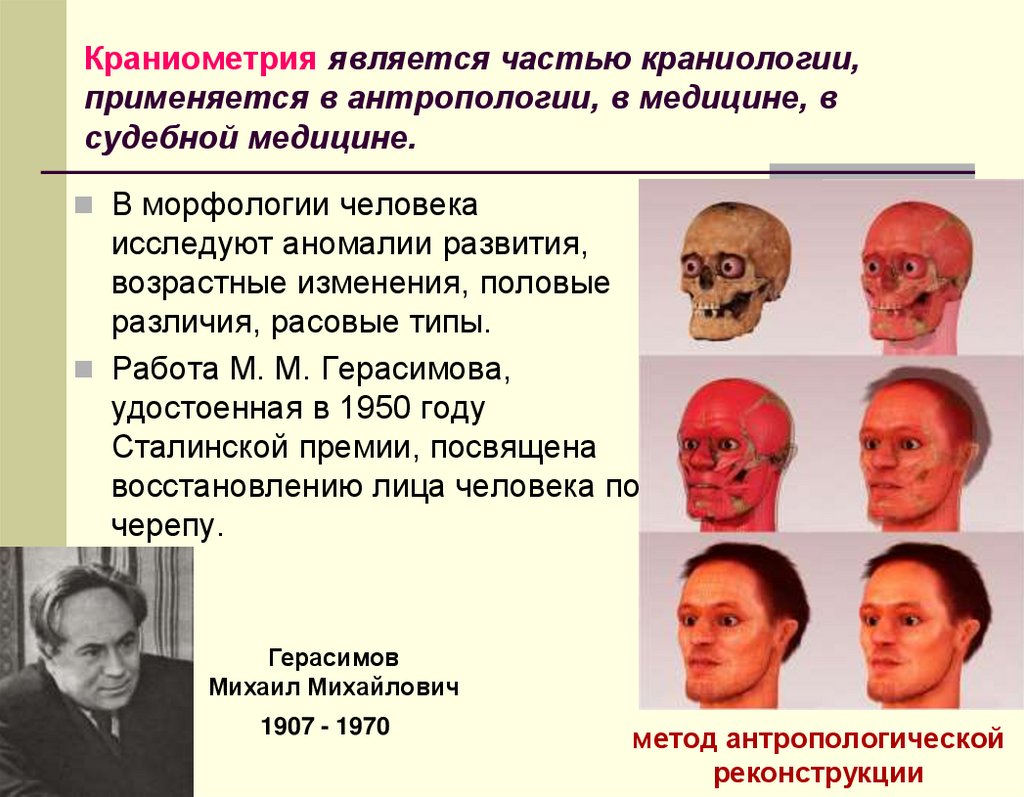 Краниометрия является частью краниологии, применяется в антропологии, в медицине, в судебной медицине.