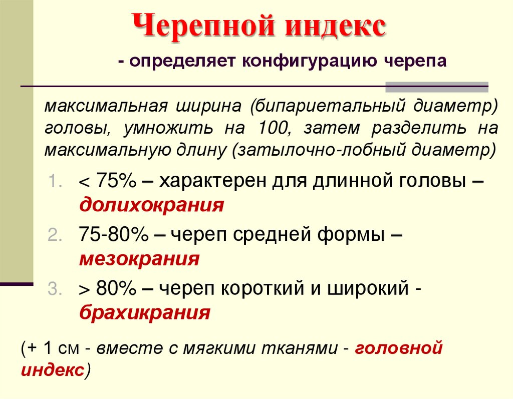 Черепной индекс - определяет конфигурацию черепа