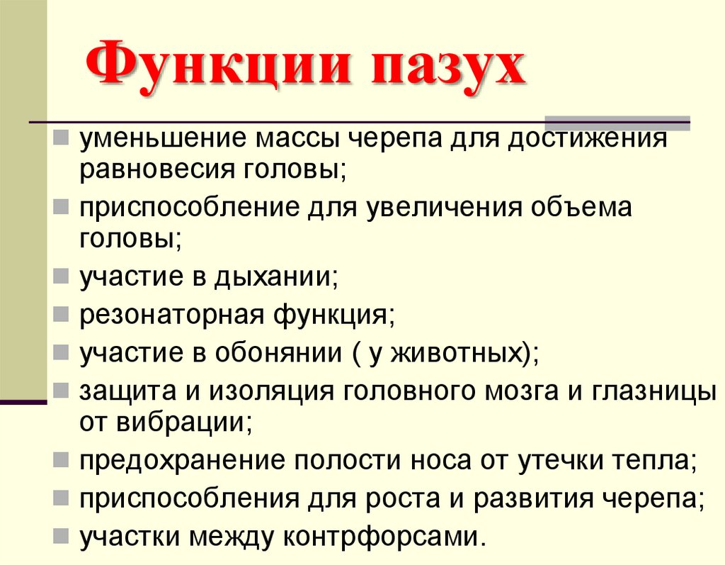 Функции пазух