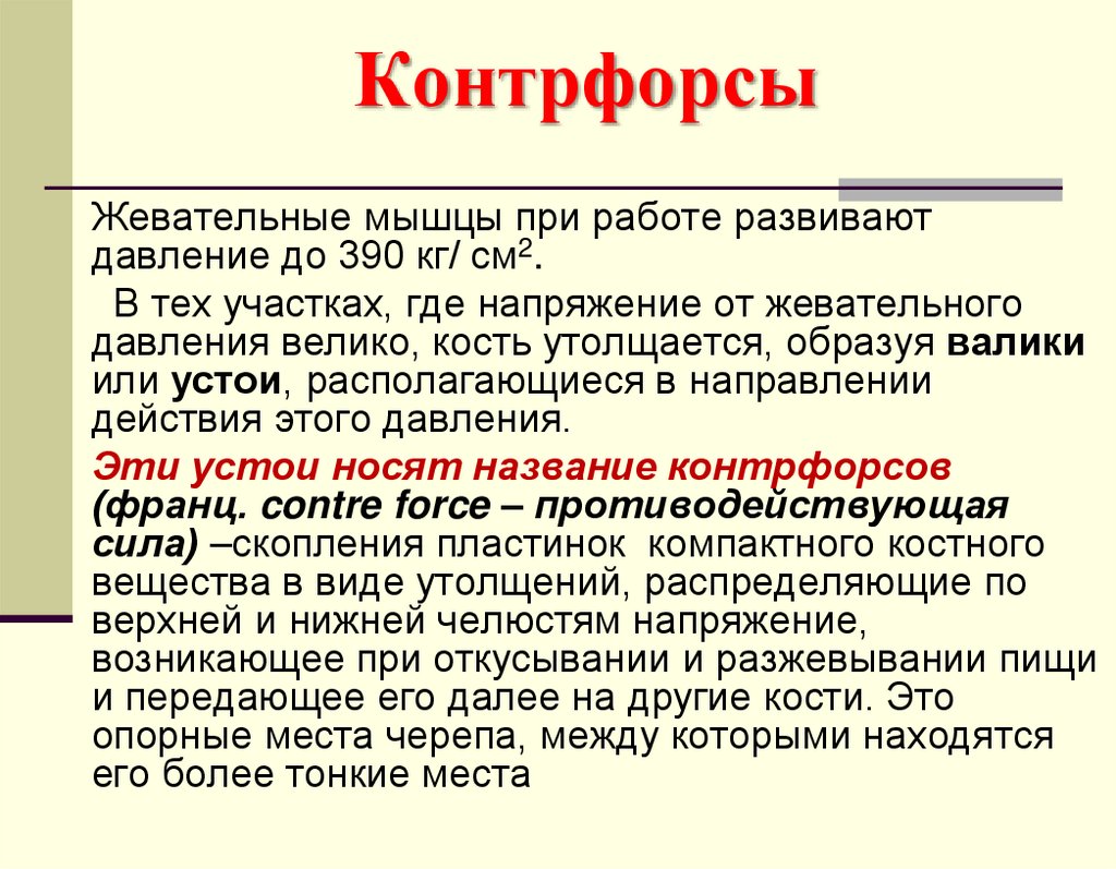 Контрфорсы