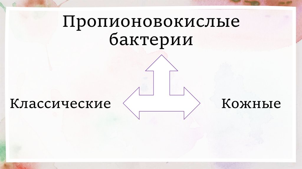 Пропионовокислые бактерии