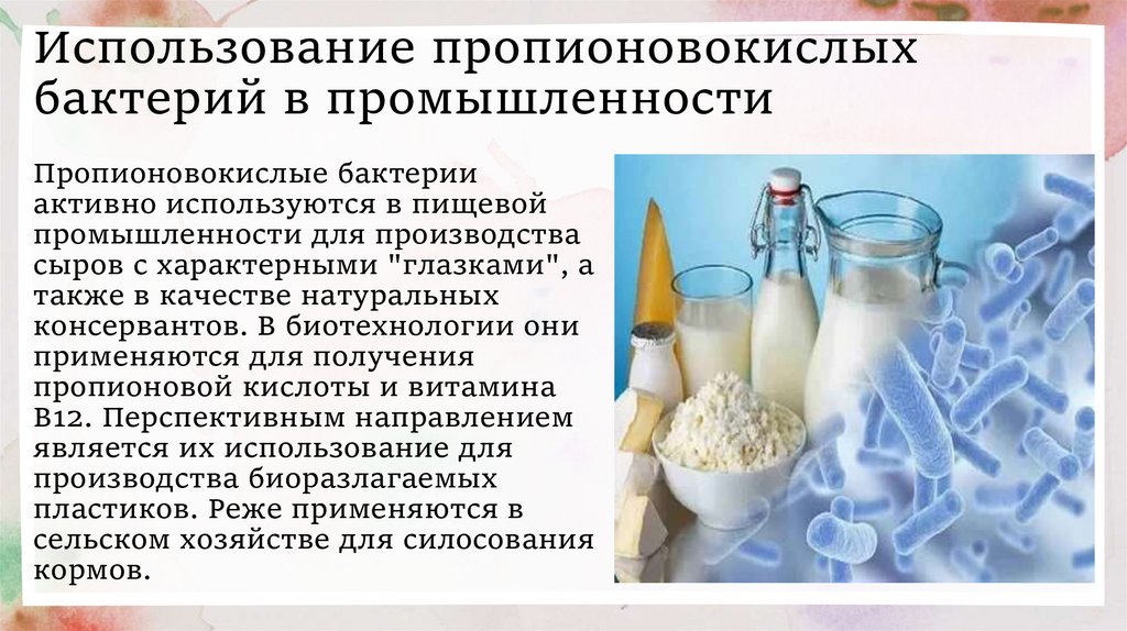 Использование пропионовокислых бактерий в промышленности