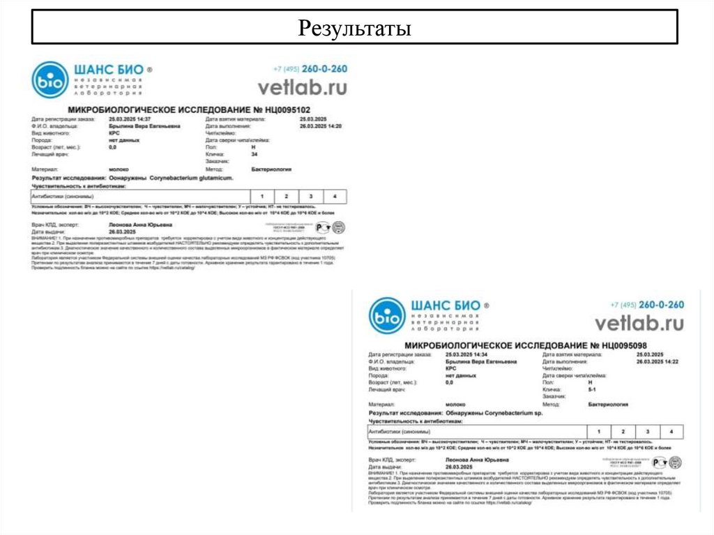 Результаты