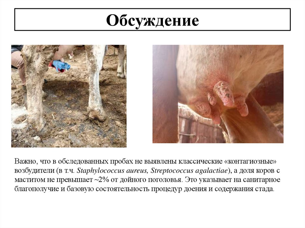 Обсуждение