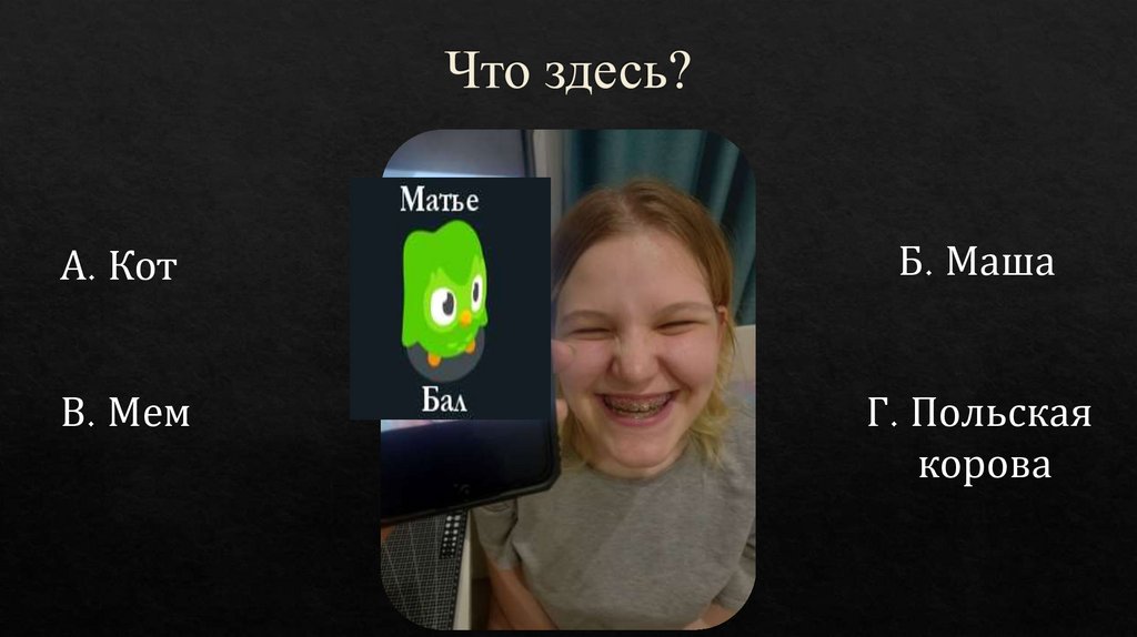 Что здесь?