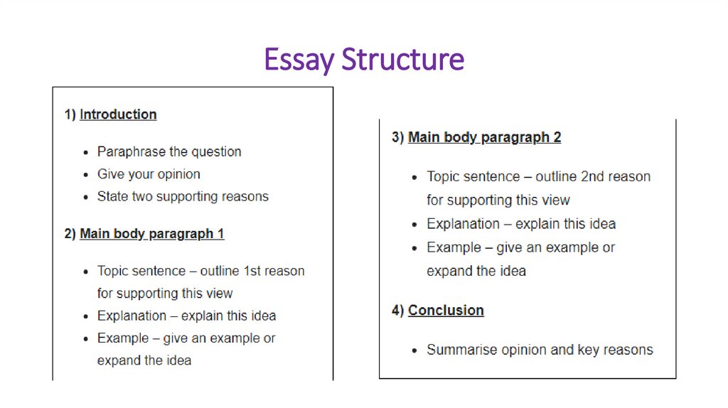 Essay Structure