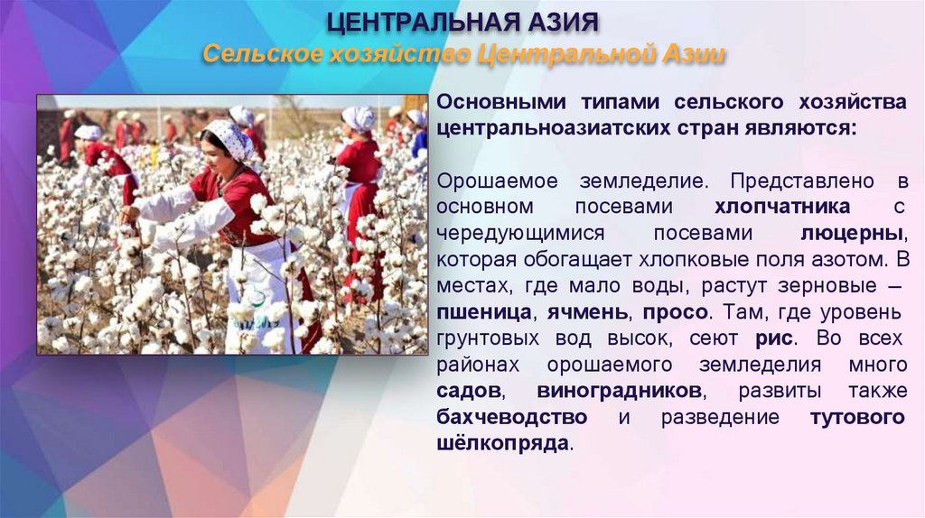 ЦЕНТРАЛЬНАЯ АЗИЯ Сельское хозяйство Центральной Азии