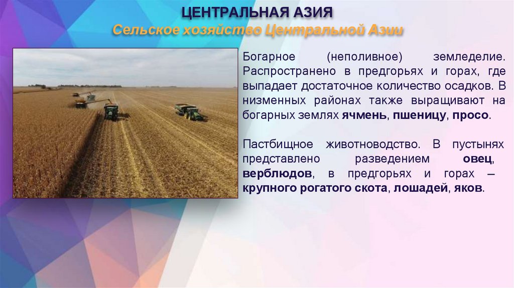 ЦЕНТРАЛЬНАЯ АЗИЯ Сельское хозяйство Центральной Азии