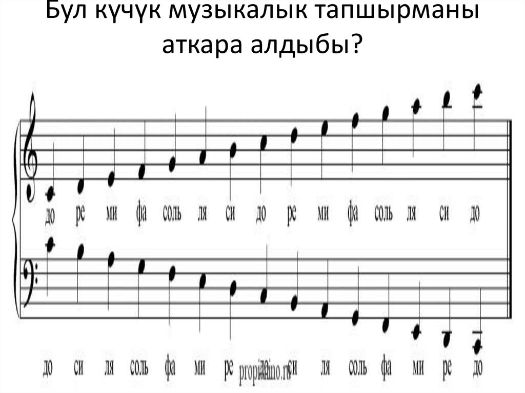 Бул күчүк музыкалык тапшырманы аткара алдыбы?