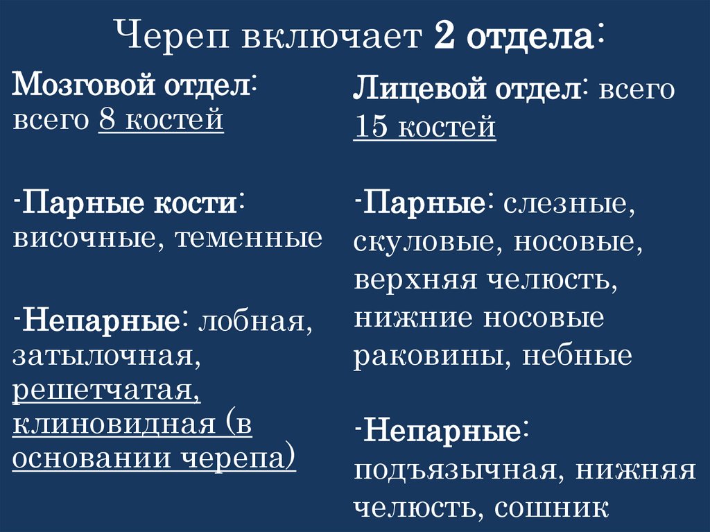 Череп включает 2 отдела: