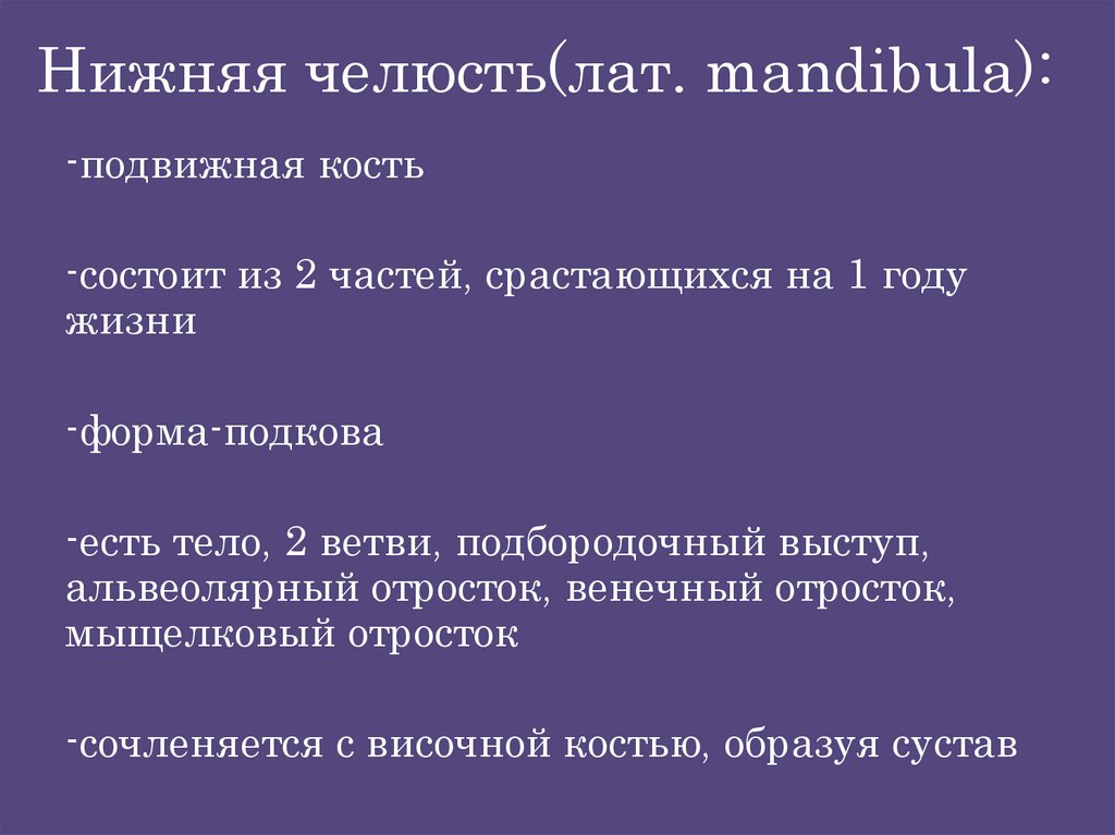 Нижняя челюсть(лат. mandibula):