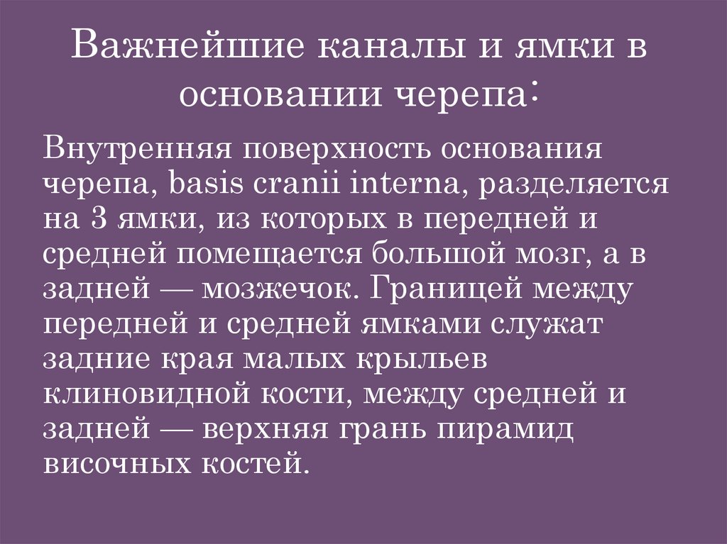 Важнейшие каналы и ямки в основании черепа: