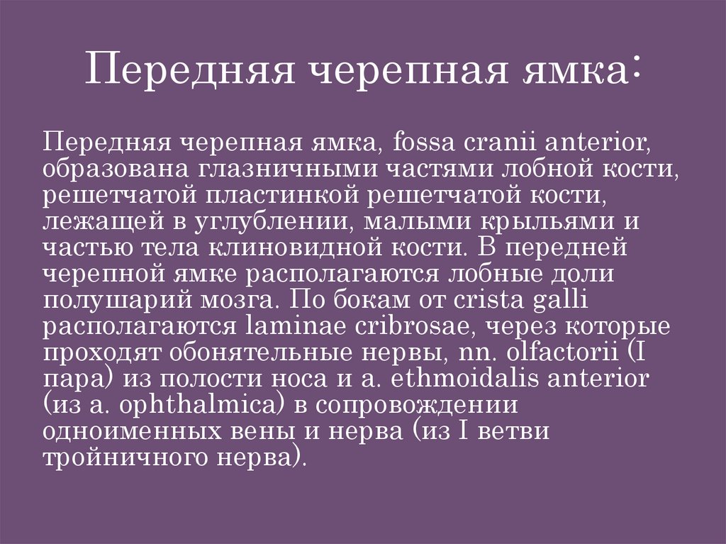 Передняя черепная ямка: