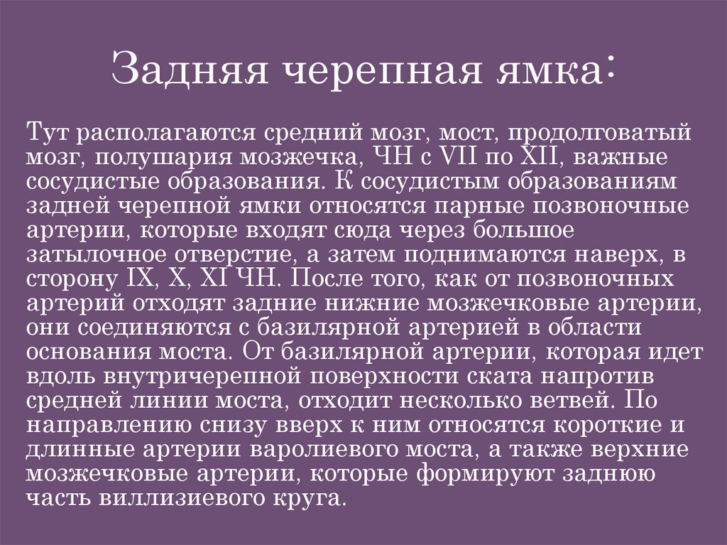 Задняя черепная ямка: