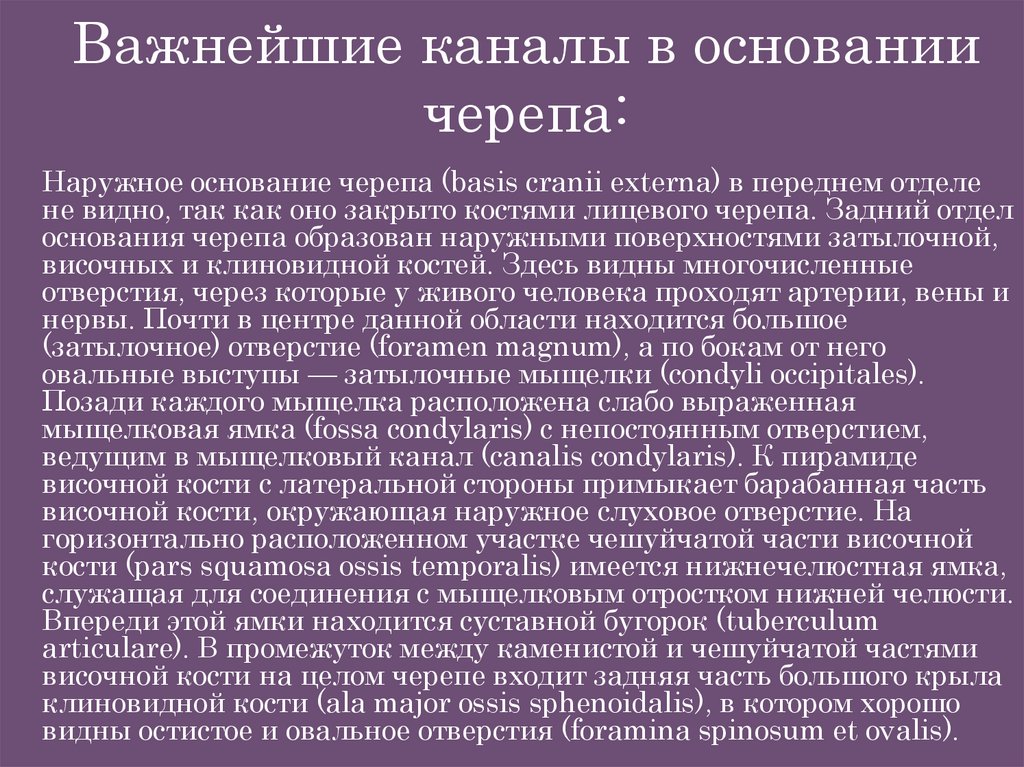 Важнейшие каналы в основании черепа: