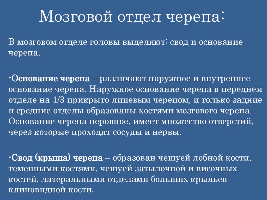 Мозговой отдел черепа: