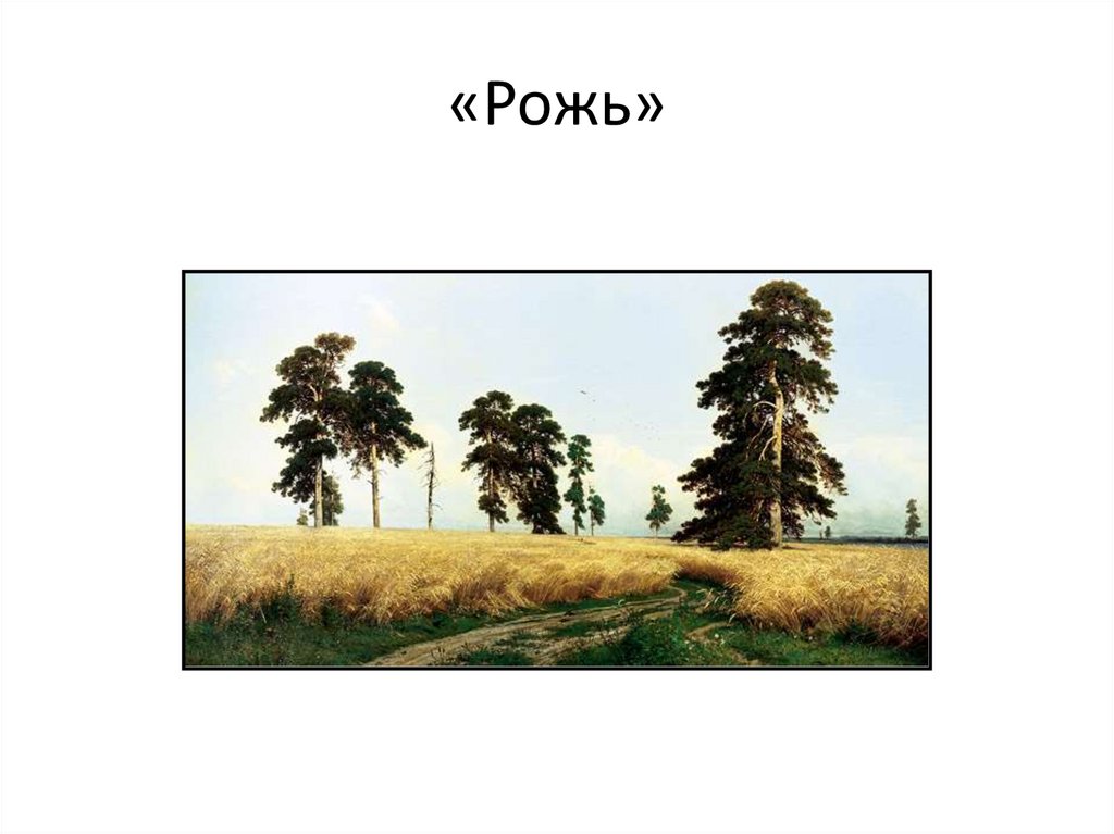 «Рожь»