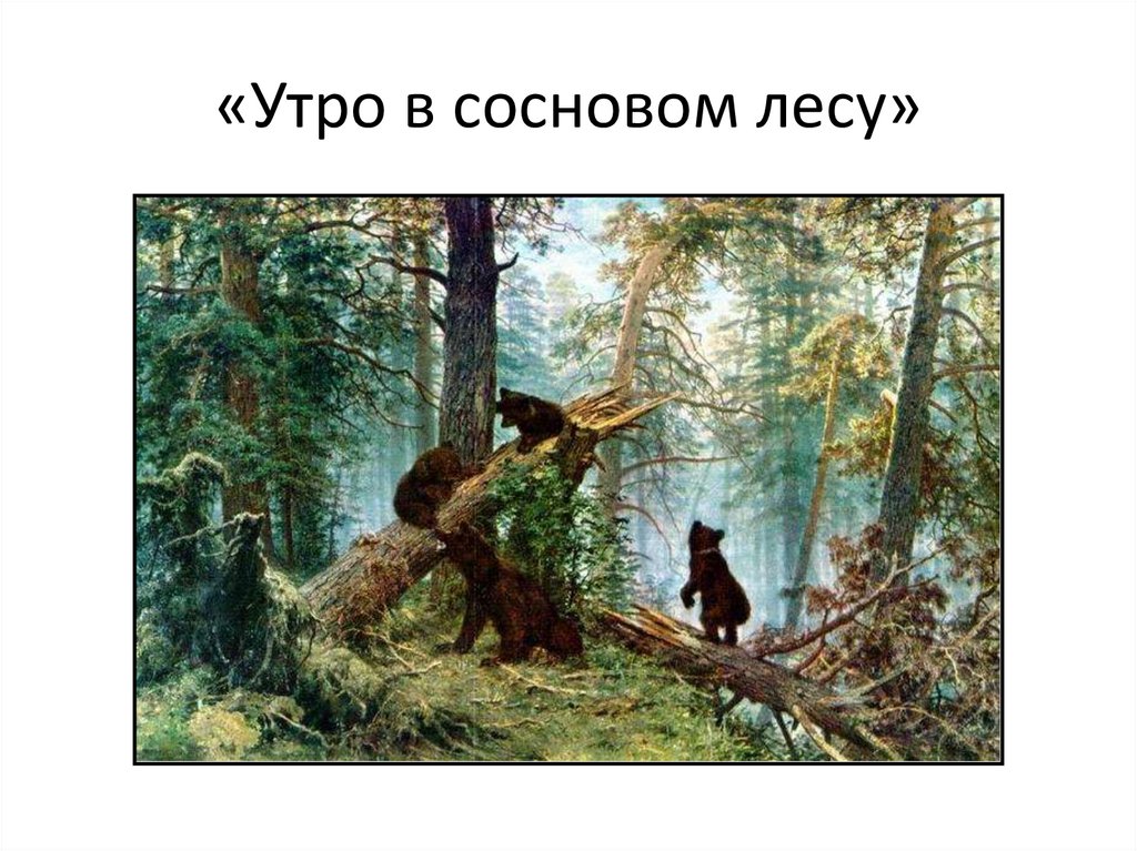 «Утро в сосновом лесу»