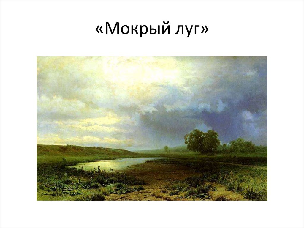«Мокрый луг»