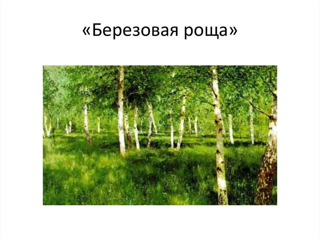 «Березовая роща»