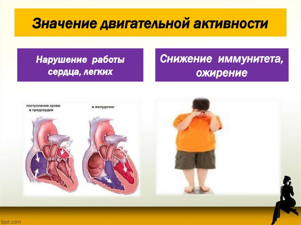 Значение двигательной активности