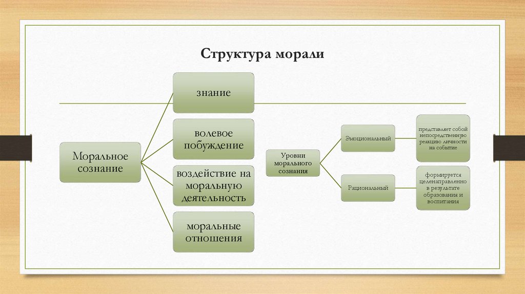 Структура морали