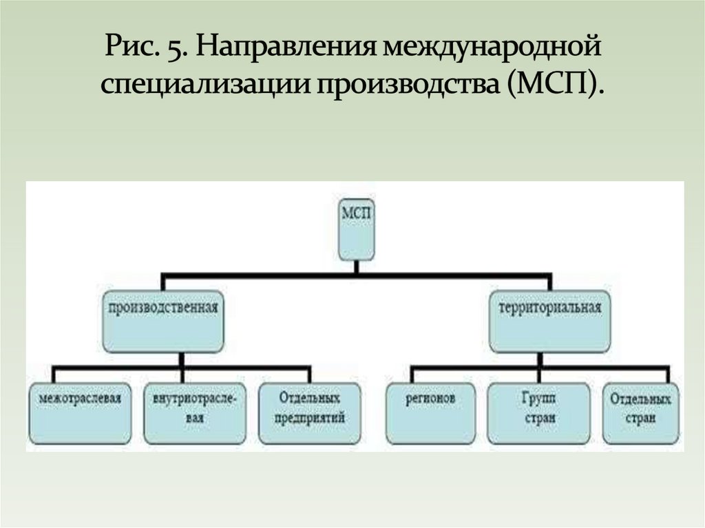 Рис. 5. Направления международной специализации производства (МСП).