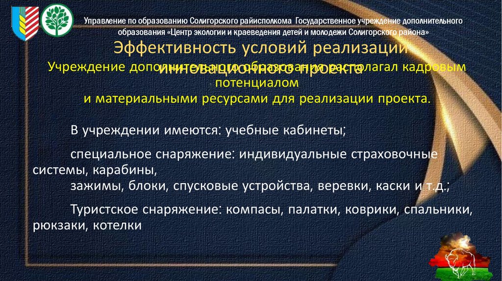 Эффективность условий реализации инновационного проекта
