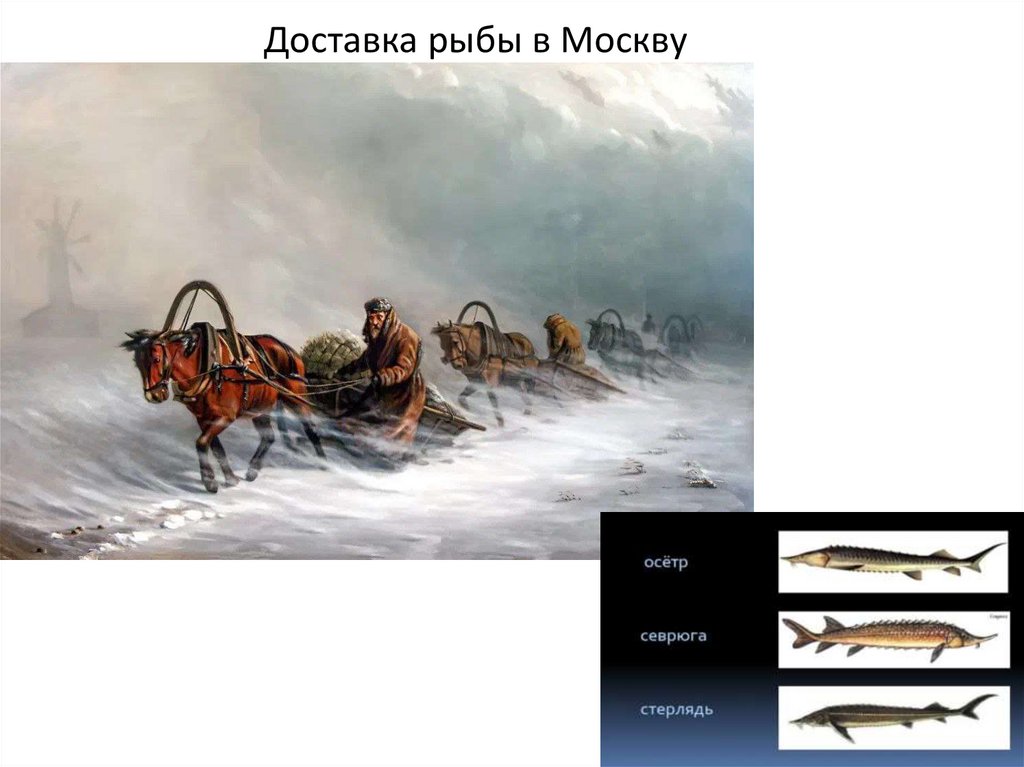 Доставка рыбы в Москву