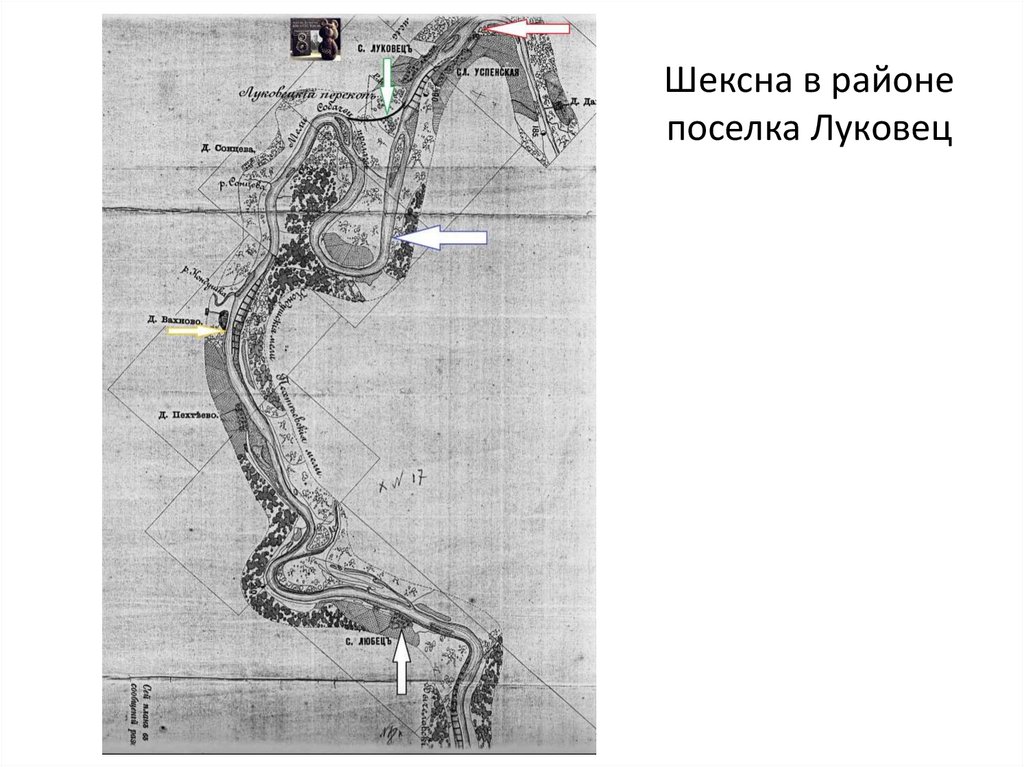 Шексна в районе поселка Луковец