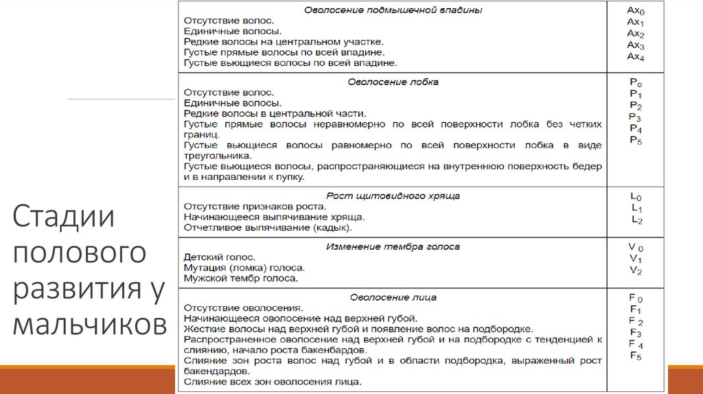 Стадии полового развития у мальчиков