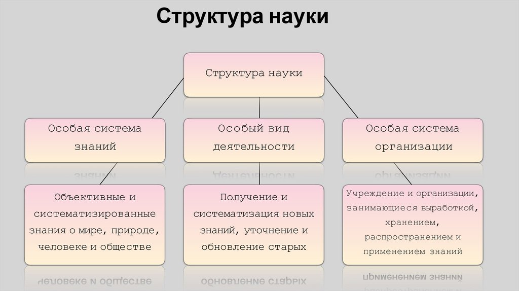 Структура науки